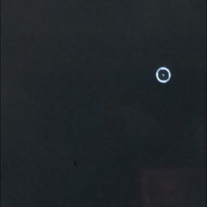 Meet your Posher, Pablo